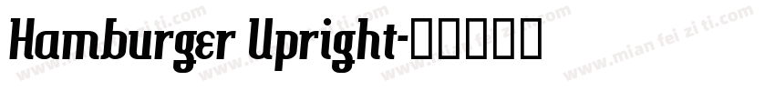 Hamburger Upright字体转换